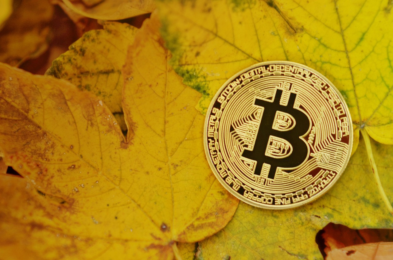 传Circle、BitGo等欲申请银行执照！稳定币发行商将成为加密货币银行？
